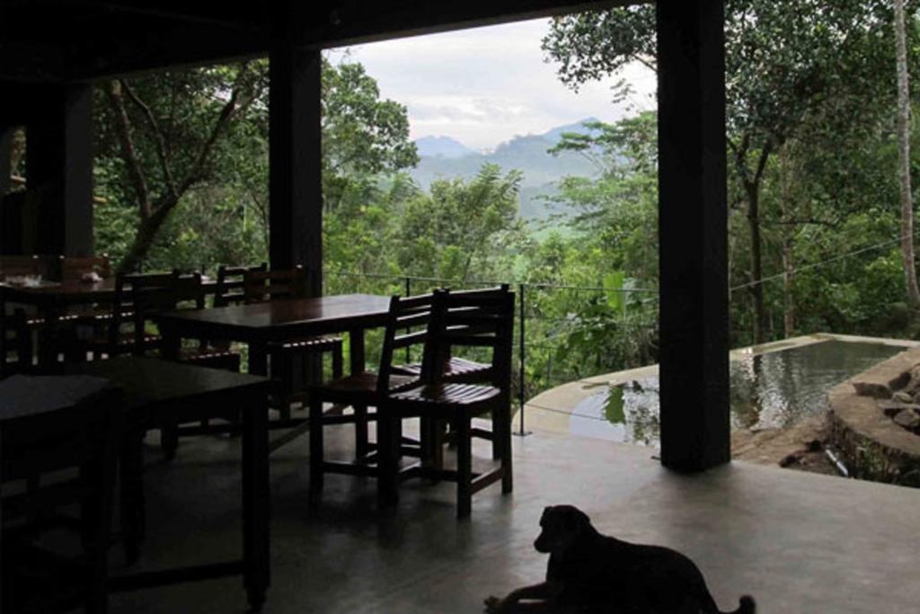 Bandura Kalawana - Rainforest Bungalow Exterior foto